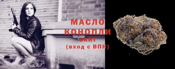 метадон Гусев