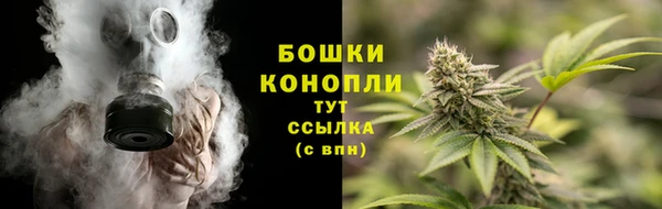 метадон Гусев