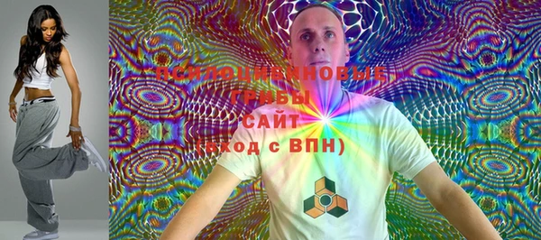 apvp Гусиноозёрск